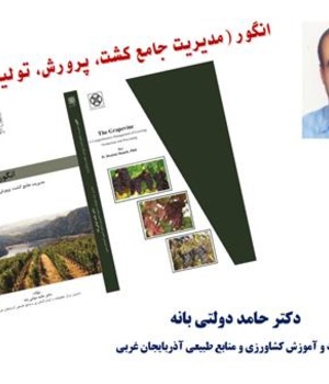 کتاب برتر