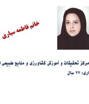 کتابدار برتر