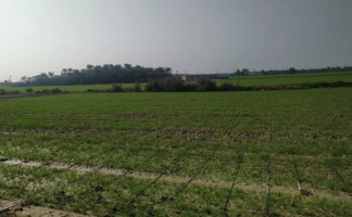 برگزاری دوره آموزشی بهینه‌سازی مصرف منابع آب در کشاورزی