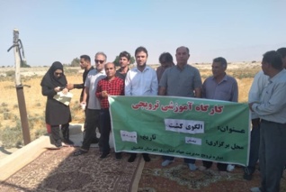 با برگزاری دوره آموزشی تغییر اقلیم بر الگوی کشت و تناوب زراعی