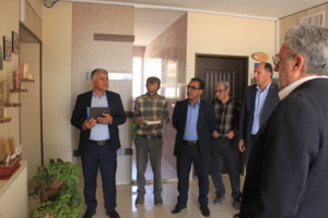 تأکید بر ظرفیت‌های اقتصادی گیاهان دارویی و زراعت چوب در چهارمحال و بختیاری؛ از آنغوزه تا استفاده بهینه از پساب شهرکرد