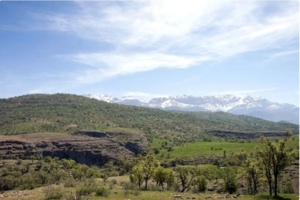 سبزکوه، گنجینه پایدار: ارزش‌گذاری اقتصادی، کلید حفظ میراث طبیعی زاگرس