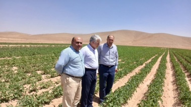 بازدید از مرزعه تولید مینی تیوبر سیب زمینی در ایستگاه تحقیقاتی گهرباران