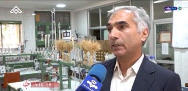 خاک به عنوان پایه امنیت پایدار غذایی مطرح است