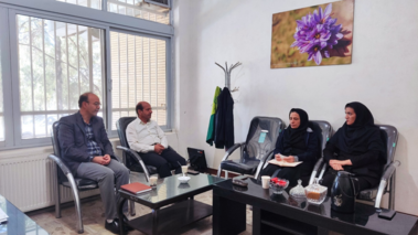 نشست کارگروه استانی، گام تازه‌ای برای توانمندسازی زنان روستایی