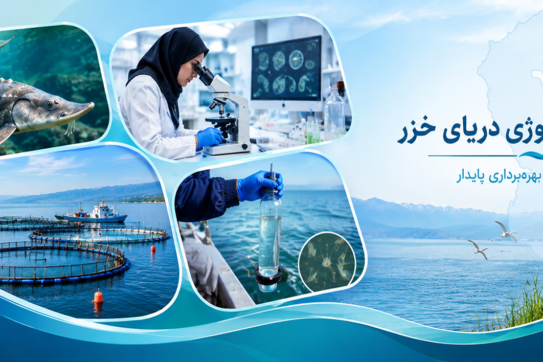 اسلایدر صفحه اصلی