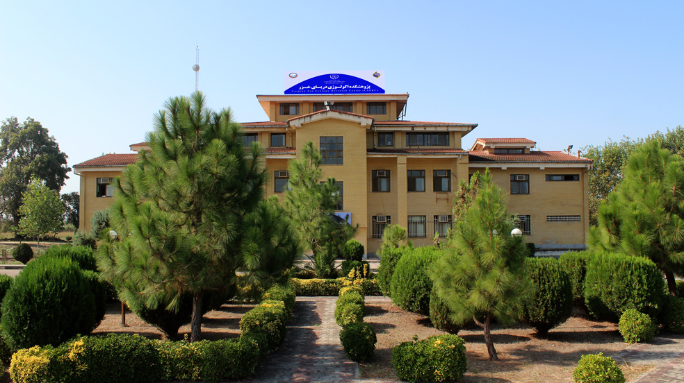 تاریخچه