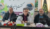 ارقام جدید و بستههای زراعی؛ راهکار افزایش بهرهوری تولید در دیم زارها