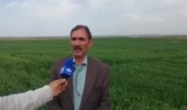 طرح توانمندسازی بهره‌برداران دیم‌زارها از طریق پایگاه‌های نوآوری