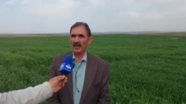 طرح توانمندسازی بهره‌برداران دیم‌زارها از طریق پایگاه‌های نوآوری