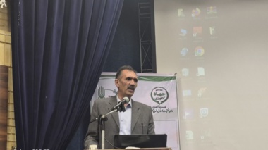 افزایش عملکرد محصولات دیم کشور با وجود کاهش بارندگی؛ معرفی ۱۰ رقم جدید به سبد زراعی تا پایان سال