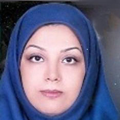 خانم مهندس پریسا هروی