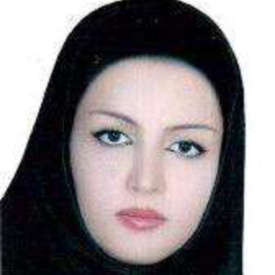 خانم مهندس حدیث نه رنگی