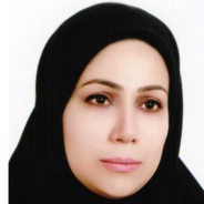 خانم مهندس مریم برزکار