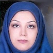 خانم مهندس پریسا هروی