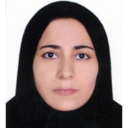 خانم مهندس زینت احمدزاده