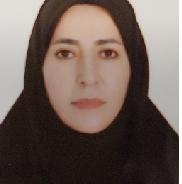 خانم مهندس سمیه رحمتی سنگکر