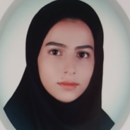 خانم مهندس پریسا مهدور