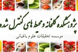 صفحه اصلی