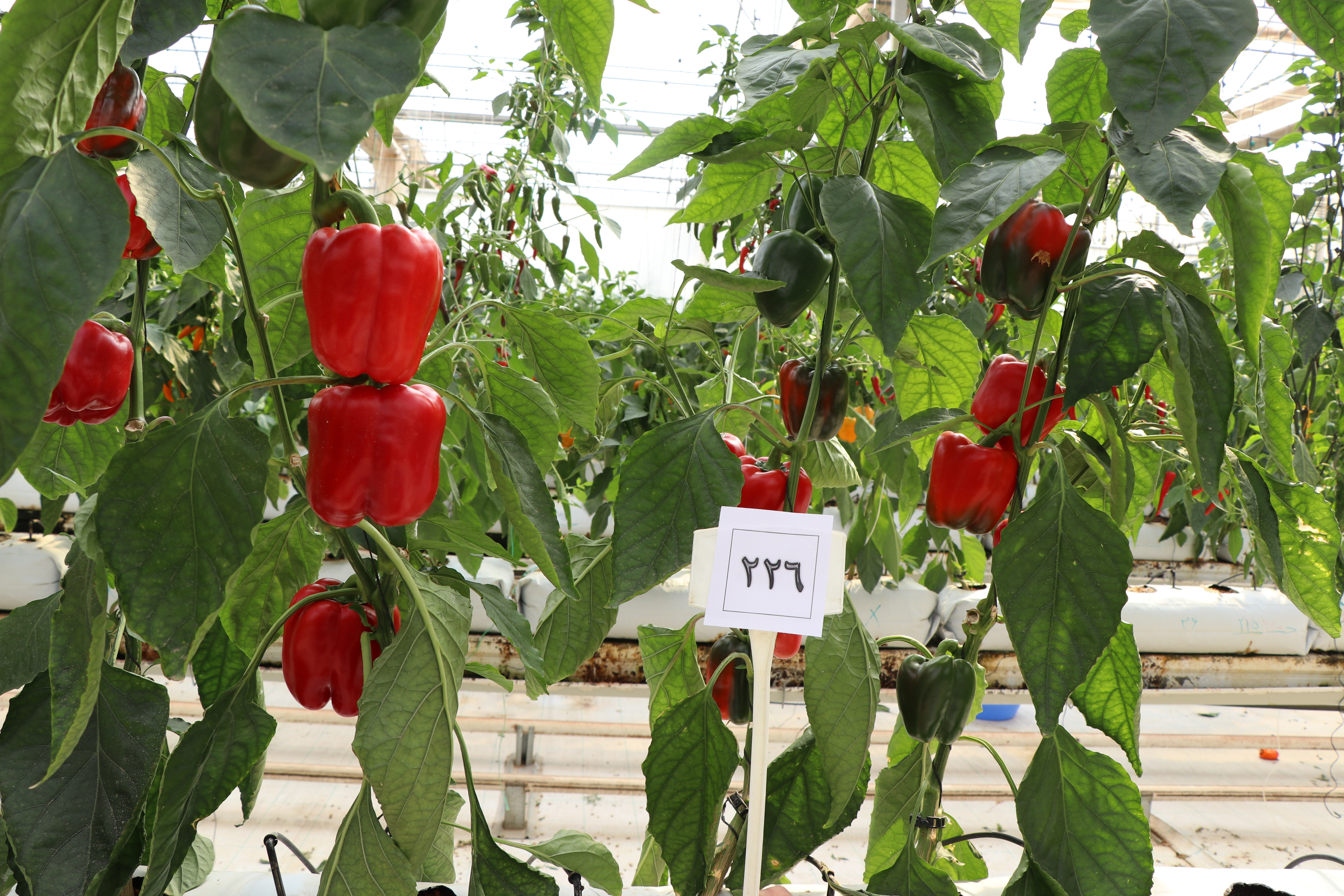 اسلایدر صفحه اصلی