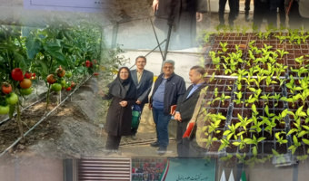 گروه نظارت و ارزشیابی موسسه تحقیقات علوم باغبانی از پروژه های در دست اجرا در پژوهشکده گلخانه و محیط های کنترل شده بازدید کردند