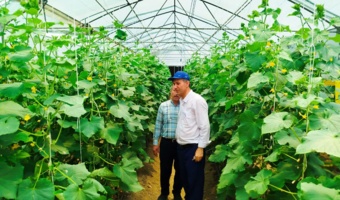 آقای دکتر سید حسن موسوی از گلخانه ها و پروژه های تحقیقاتی مستقر در آن بازدید کردند