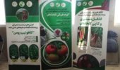 شرکت در نمایشگاه هفته پژوهش