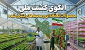 تهیه و تدوین برنامه ملی الگوی کشت محصولات قابل کشت در گلخانه و محیط های کنترل شده توسط پژوهشکده گلخانه و محیط های کنترل شده