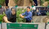 گارگاه آموزشی تولید بذر هیبرید فلفل گلخانه ای
