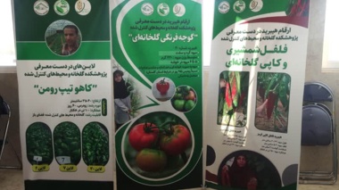 شرکت در نمایشگاه هفته پژوهش