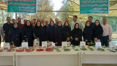 روز مزرعه و انتقال یافته های تحقیقاتی با تأکید بر نقش آموزش، انتقال فناوری و توسعه بذرهای هیبرید