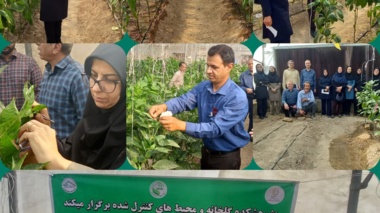 گارگاه آموزشی تولید بذر هیبرید فلفل گلخانه ای