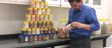 احیای بذور گیاهی متناسب با اقلیم گیلان