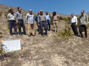 بازدید میدانی تیم تحقیقاتی مرکز از باغ‌های فندق املش