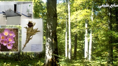 بخش جنگلها ، مراتع و آبخیزداری