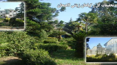 ایستگاه گل و گیاهان زینتی لاهیجان