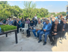 راهکار نجات مصرف آب در شالیزارها؛ امکان صرفه‌جویی ۴۰ درصدی با کشت مستقیم برنج