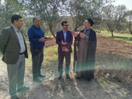 برنامه‌ریزی اجرای دوره‌های مهارتی ویژه زندانیان