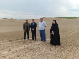 بازدید میدانی محققین مرکز تحقیقات و آموزش کشاورزی گلستان از مزارع زیره سبز در شهرستان گنبد