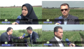 عیدی محققان مرکز تحقیقات و آموزش کشاورزی گلستان به کشاورزان در شرایط حساس جنگی