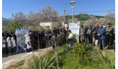 برگزاری پویش ملی نهال‌کاری «سرو ایران» در شهرستان گرگان