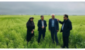 روشنی رئیس مرکز تحقیقات کشاورزی گلستان در بازدید از فعالیت های سربازان گمنام امنیت غذایی ایستگاه تحقیقات کشاورزی گنبد