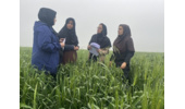 نظارت تخصصی بر طرح نوین «کودآبیاری» در علی‌آباد کتول توسط محقق مرکز تحقیقات و آموزش کشاورزی