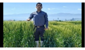 گام مؤثر در اصلاح تاریخ و تراکم کاشت گندم با تولید و بررسی لاین‌های دابل هاپلوئید