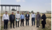 بازدید رئیس مؤسسه تحقیقات اصلاح و تهیه نهال و بذر کشور از ایستگاه ملی تحقیقات کشاورزی گنبدکاووس