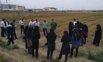 برگزاری روز مزرعه حبوبات دیم در ایستگاه ملی گنبد‌کاووس