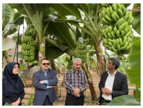 یزد، «دانشگاه بزرگ علمی و کاربردی» شوری کشور