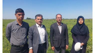 بازدید معاون پژوهشی و کمیته فنی بخش تحقیقات زراعی و باغی مرکز تحقیقات و آموزش کشاورزی گلستان از مزارع تولید بذر و آزمایشات ایستگاه عراقی‌محله