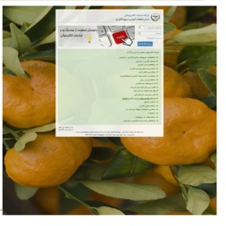 خدمات الکترونیک