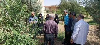 برگزاری دوره آموزشی پیوند درختان میوه در ایستگاه تحقیقاتی اکباتان